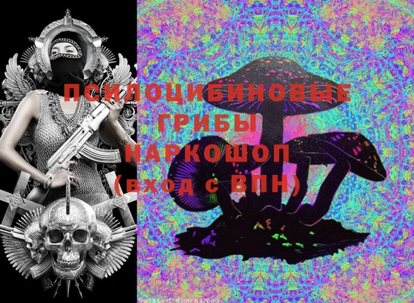 PSILOCYBIN Рославль